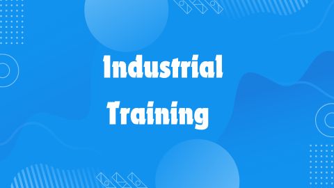 Best Industrial Training in Phagwara 